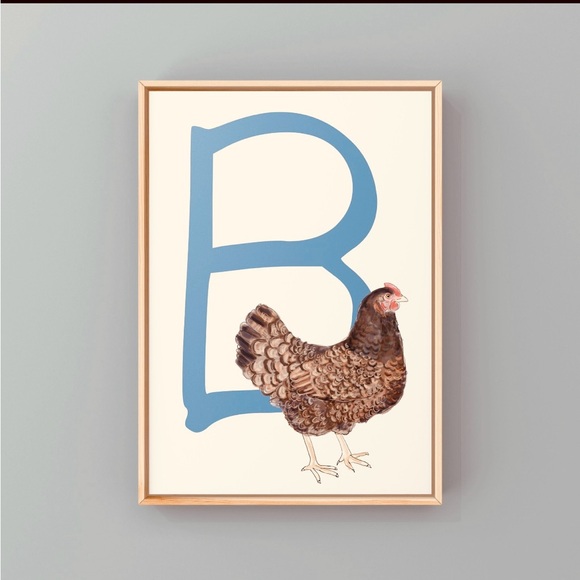 bneider5